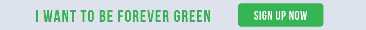 Sustainable-Newsletter-Green-CTA